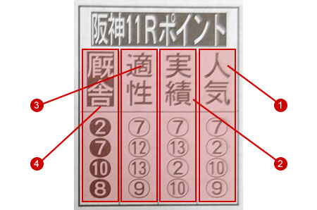 人気馬や実績のポイント