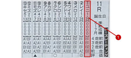 レースレーティング