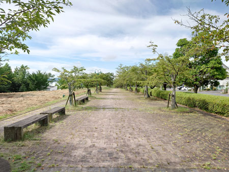 グラスハウス周辺の遊歩道