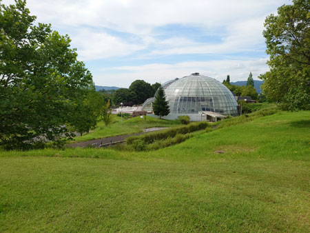 グラスハウスと運動公園
